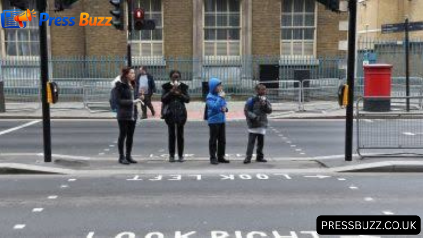 Pelican Crossing