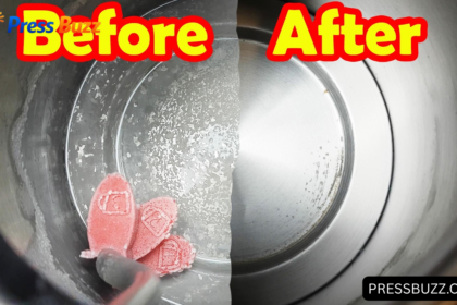 How to Descale Kettle
